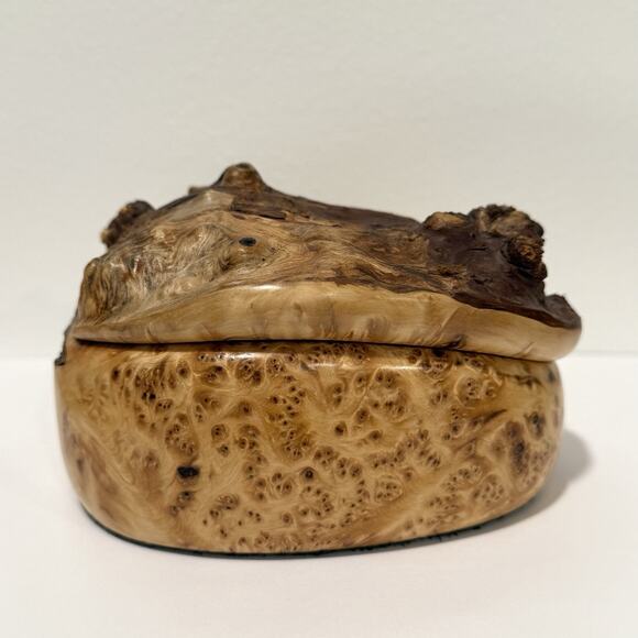 Kris Sacksteder Handmade Yellow Burl Wood Lidded Trinket Box Weird Woods Seattle - Picture 2 of 12